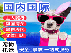 长治空运地址国际宠物托运 【国